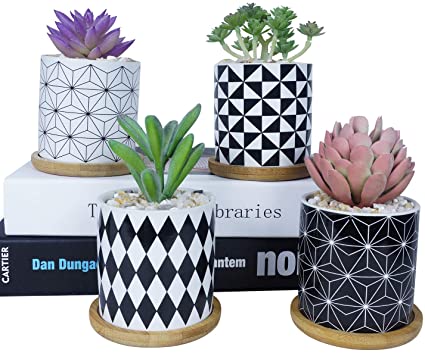 Succulent Planter Pots-2.9 Inch Modern Geometric Cactus Planters Pots with Bamboo Tray and Drain Hole for Indoor Plants, Small Ceramic Flower Bonsai Container Perfect for Desk or Windowsill Pack of 4