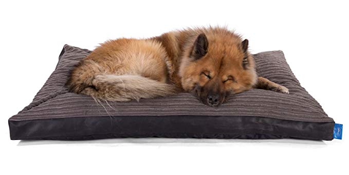 Silentnight Micro-Climate Airflow Dog Bed - Faux Leather Black - Large END OF LINE - MUST GO FAST