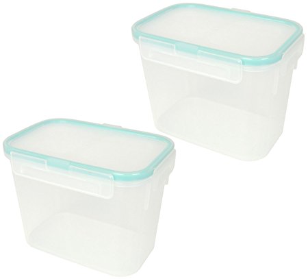 Snapware Airtight Small Rectangular Storage Container 4.7 Cup, Pack of 2 Containers