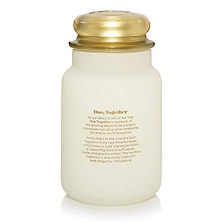 Yankee Candle 5038581063195 jar Large Scent of The Year 2019, one Size, …