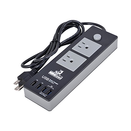 Power Strip NRGized C300 with 2-AC Outlets and 4 USB Charging Ports 5-Ft Cord (Black/Gray)