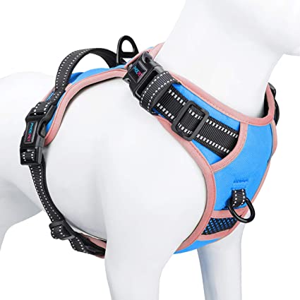 PHOEPET 2019 Upgraded No Pull Dog Harness, Unique Colors Reflective Adjustable Vest, with a Training Handle   2 Metal Leash Hooks  3 Snap Buckles  4 Slide Buckles [Easy to Put on & Take Off]