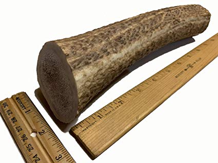 Monster Sized Elk Antlers for Dogs - 13  Oz Super Jumbo Antler Dog Chews - Long Lasting Dog Bone - Dog Toys for Large Dogs - Best Dog Bones for Aggressive Chewers - USA Sourced - Veteran Owned Company