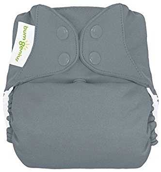 bumGenius Freetime All-In-One One-Size Snap Closure Cloth Diaper (Armadillo)