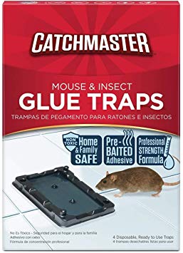 Catchmaster Mouse & Insect Professional Strength Glue Traps - Non Toxic - 6 Glue Trays