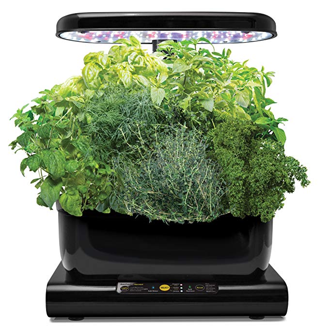 Miracle-Gro AeroGarden Harvest with Gourmet Herb Seed Pod Kit, Black