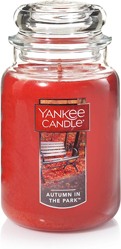 Yankee Candle Large Jar Candle, Autumn In The Park