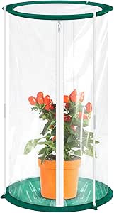 Nuanchu 1 Piece Mini Greenhouse 19.7 x 10.2 Inch Portable Plant Flowers Mini Greenhouse Cover PVC Clear Greenhouse for Indoor Outdoor Gardening