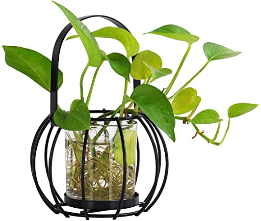 N / A Plant Terrarium Stand, Air Planter Bulb Candlestick Vase Metal Support Portable Hanging Holder Retro Tabletop for Hydroponics Home Garden Office Decoration hydroponic Container (DL-1 (Black))