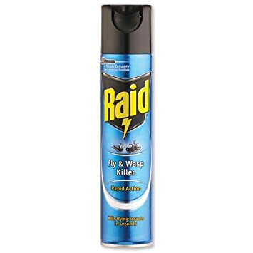 Raid Fly and Wasp Killer Aerosol Ref 95306