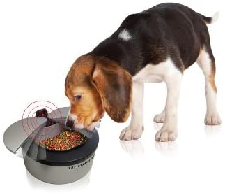 Pet dish with Automatic motion sensor by Sharper Image®