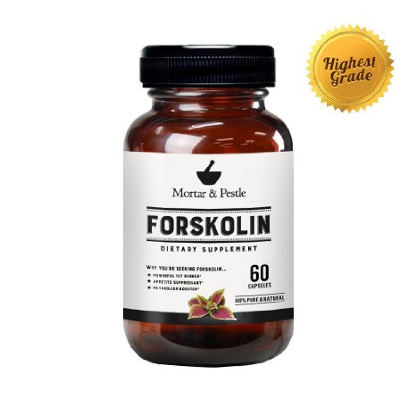 Pure Forskolin Extract 60 Capsules by Mortar and Pestle - Premium Research Verified Weight Loss Supplement - Boosts Metabolism Increases cAMP Levels