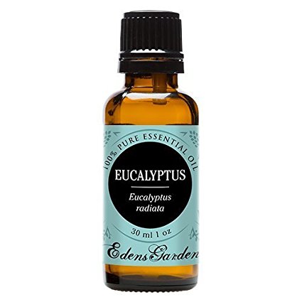 Edens Garden Eucalyptus Radiata 100% Pure Therapeutic Grade Essential Oil