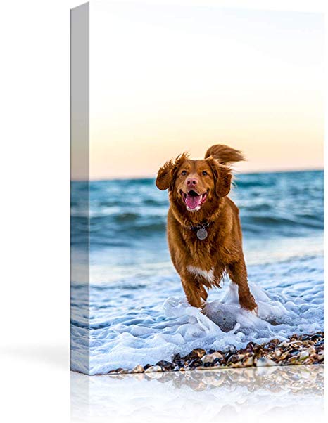 NWT Custom Canvas Prints with Your Photos for Pet/Animal, Personalized Canvas Pictures for Wall to Print Framed 18x12 inches