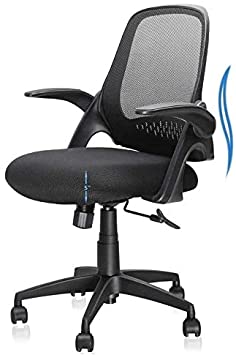 Mid-Back Office Chair, Mesh Desk Chairs Swivel Computer Task Chairs with Adjustable Height and Flip-up Armrest - Lumbar Support and Sponge Cushion in Black