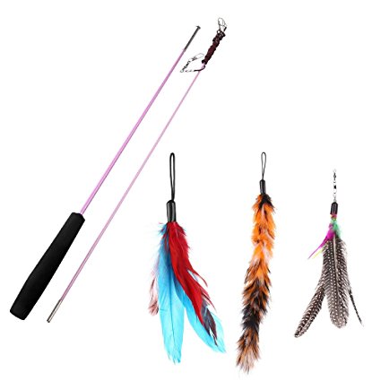 Cat Teaser Catcher Toys, Etrech Fishing Pole Wand with 3 Pcs Assorted Feather Refills- Perfect Interactive Toy for Exercising Kitten or Cat