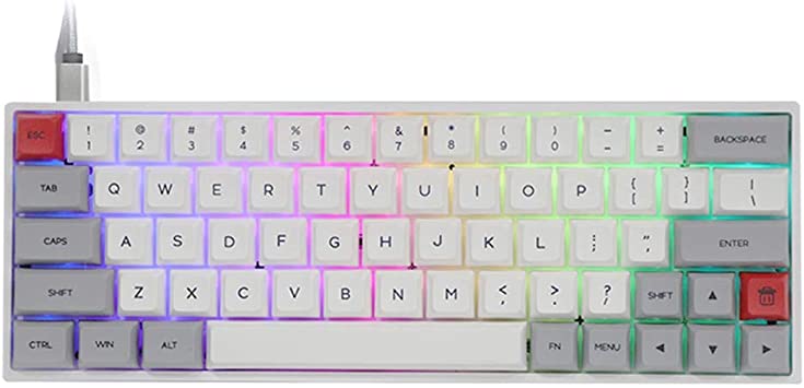 EPOMAKER SKYLOONG SK64 64 Keys Hot Swappable Mechanical Keyboard with RGB Backlit, PBT Keycaps, Arrow Keys for Win/Mac/Gaming (Gateron Optical Red, Grey White)