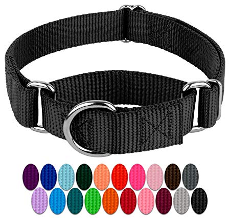 Country Brook Design | Martingale Heavyduty Nylon Dog Collar (Various Sizes & Colors)