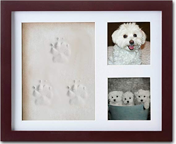 ImpressionMemories Dog or Cat Paw Print Pet Keepsake Photo Frame with Pet Paw Print Imprint Kit