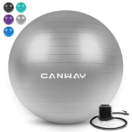 Canway Exercise Ball - Extra Thick & Slip Resistant Workout Ball, Professional Grade 2200lbs Anti-Burst Stability Ball, 65CM Yoga Ball with Quick Foot Pump