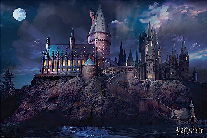 Harry Potter - Movie Poster Print (Hogwarts by Night) (Size: 36 inches x 24 inches)