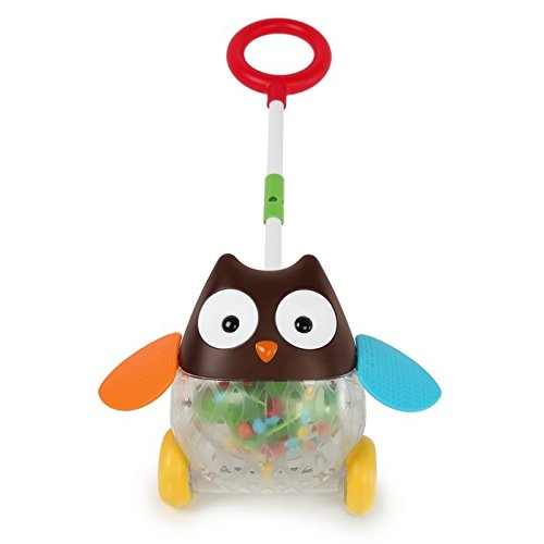 Skip Hop Explore and More Musical Owl Phone Activity Toy, Multi