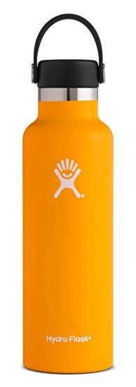 Hydro Flask Double Wall Vacuum Insulated Stainless Steel Leak Proof Sports Water Bottle, Standard Mouth with BPA Free Flex Cap