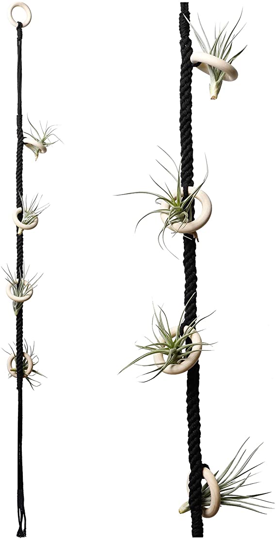 POTEY 602102 Hanging Air Plant Holders - Air Plant Hanger for 4 Pcs Air Plants Hanger Tillandsia Handmade Cotton Rope Airplant Rack for Home Decor 1-Pack 40'',Black