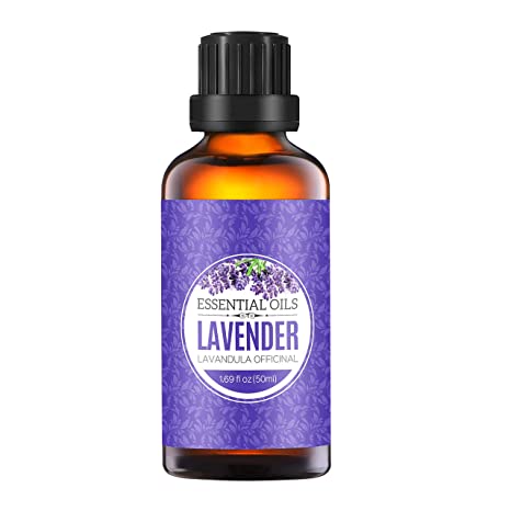 Homasy Lavender Essential Oil, 50ml 100% Pure Aromatherapy Essential Oil for Diffuser and Humidifier, Natural Essential Oil Useful for Spa Massage, Hair Care, Improve Sleep, Relax