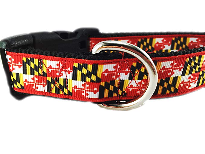 CANINEDESIGN QUALITY DOG COLLARS Caninedesign, Maryland Flag Dog Collar, 1 inch wide, side release buckle, nylon, adjustable, medium and large
