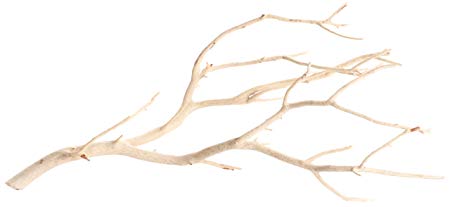 Koyal Wholesale Real Manzanita Branches, 24-Inch, Sandblasted