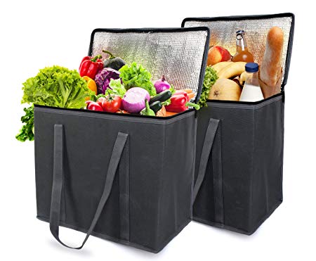 EFB Solutions Insulated Reusable Grocery Shopping Bags Long Handles Premium Quality Extra Large 16 x 13 x 9 Foldable Insulation Cooler Tote Bag | 2 Pack