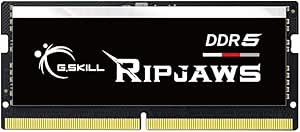 G.SKILL Ripjaws DDR5 SO-DIMM Series DDR5 RAM 16GB (1x16GB) 5600MT/s CL40-40-40-89 1.10V Unbuffered Non-ECC Notebook/Laptop Memory SODIMM (F5-5600S4040A16GX1-RS)