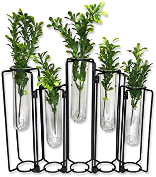 Modern Black Metal Stand with Clear Glass Tube Vase Planters for Minimalist Decor and Propagation Station for Small Flowers Buds Pathos Vines