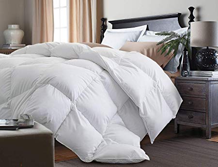 Kathy Ireland White Feather Goose Down Comforter-All Season Warmth, Full/Queen