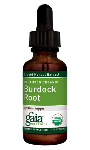 Burdock Root Certified Organic Extract Gaia Herbs 1 oz Liquid
