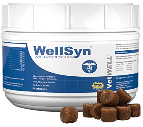 VetWELL Glucosamine Joint Supplements for Dogs - with Chondroitin, MSM, Omega 3s and Probiotics for Mobility, Healthy Skin, Shiny Coat, Digestive and Immune Health, 84 WellSyn Soft Chews