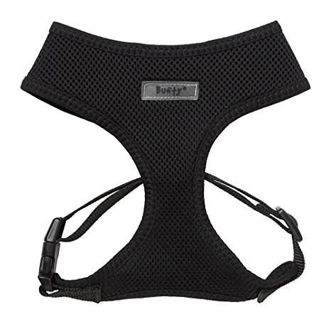 Bunty Adjustable Soft Fabric Dog/Puppy Harness Lead - Small - Black