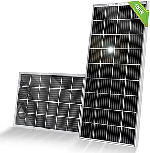 ECO-WORTHY Bifacial 100 Watt 12 Volt Solar Panel Monocrystalline Rigid High-Efficiency PV Module Power Charger for Sunsheds, Canopies, RVs, Farms and Other Off-Grid Applications