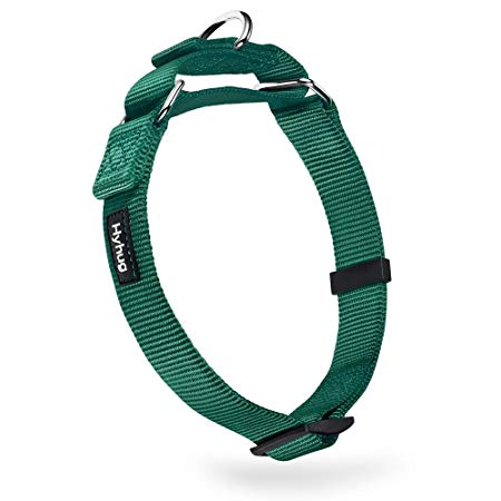 Heavy Duty Nylon Anti-Escape Martingale Dog Collar for Large Medium Small Boy and Girl Dogs - Walking Training Daily Use.