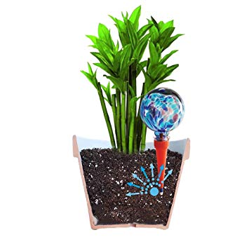 Plantpal 2 Mini Decorative Glass Watering Globes, Plant Watering, Self Watering, Automatic Watering, Watering Spikes, Holiday Watering System. Use in 6-7 Inch Indoor Plant Pots. (Blue, Glass)