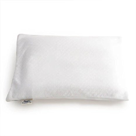 Bucky Large Bed Pillow Case