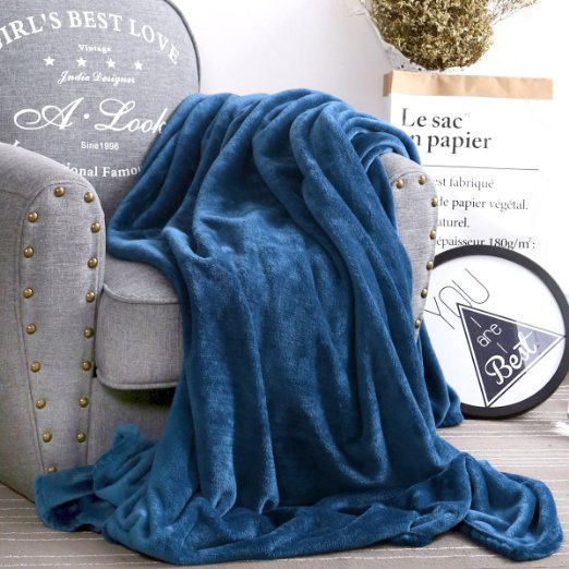 Luxury Collection Ultra Soft Plush Fleece Lightweight All-Season Throw/Bed Blanket, Queen, Navy Blue