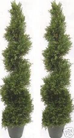 Two 5 Foot 4 Inch Artificial Cypress Spiral Trees Potted Indoor or Outdoor