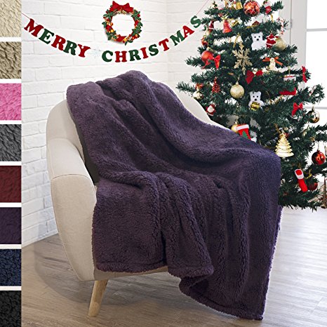 Sherpa Throw Blanket for Couch, Sofa by Pavilia | Plush, Soft, Cozy, Lightweight Microfiber (50 x 60 Inches, Purple)