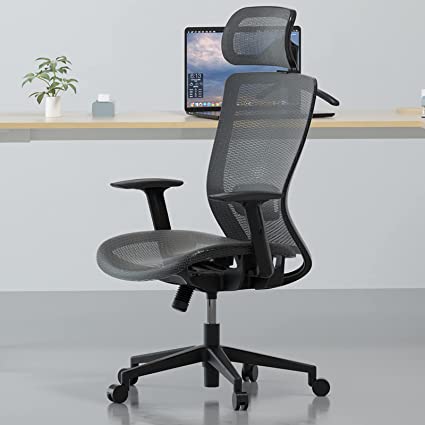 FLEXISPOT OC3B Ergonomic Executive Mesh Office Chair Swivel Height Adjustable Seat Headrest Armrest Lumbar Support Caster Wheels Task Chair Gray Mesh Seat Computer Office Desk Chair (Gray)