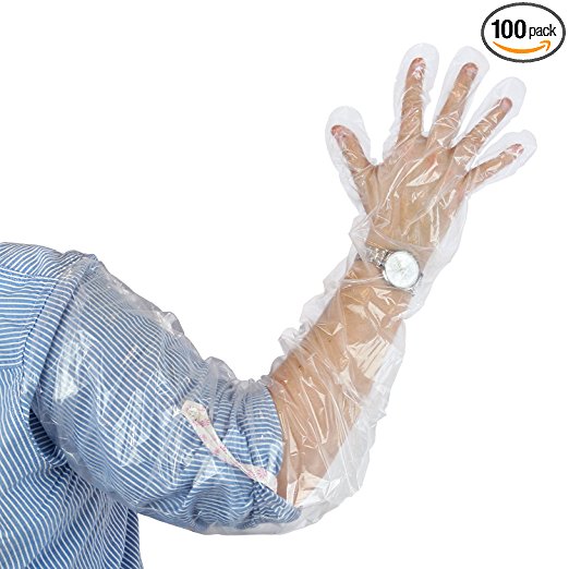 Royal 35" Shoulder Length Poly Gloves, Pack of 100