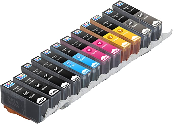 12 pack Skia Ink Cartridges Compatible with Canon PGI-225 CLI-226 for printer Pixma ip4820 iP4920 MG5120 MG5220 MG5320 MG6120 MG6220 MG8120 MG8220 MX882
