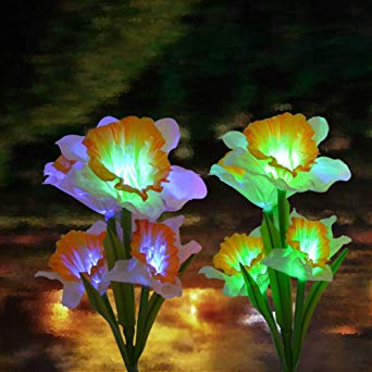 Solar Garden Lights Outdoor, 2 Pack Solar Powered Lights with 8 Lily Flower, Multi-Color Changing LED Solar Stake Lights for Garden, Patio, Backyard (Yellow/White) (Daffodil（White.Yellow）)