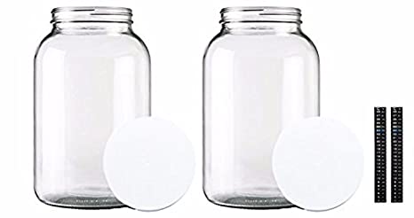 Home Brew Ohio One gallon Glass Jar with Lid & Dual Scale Thermometer-Set of 2